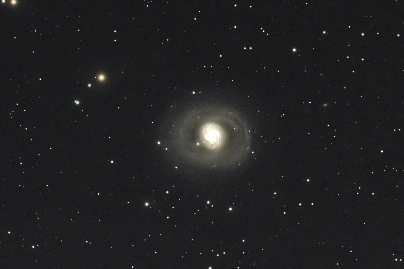 Arp 37 — NGC 1068
