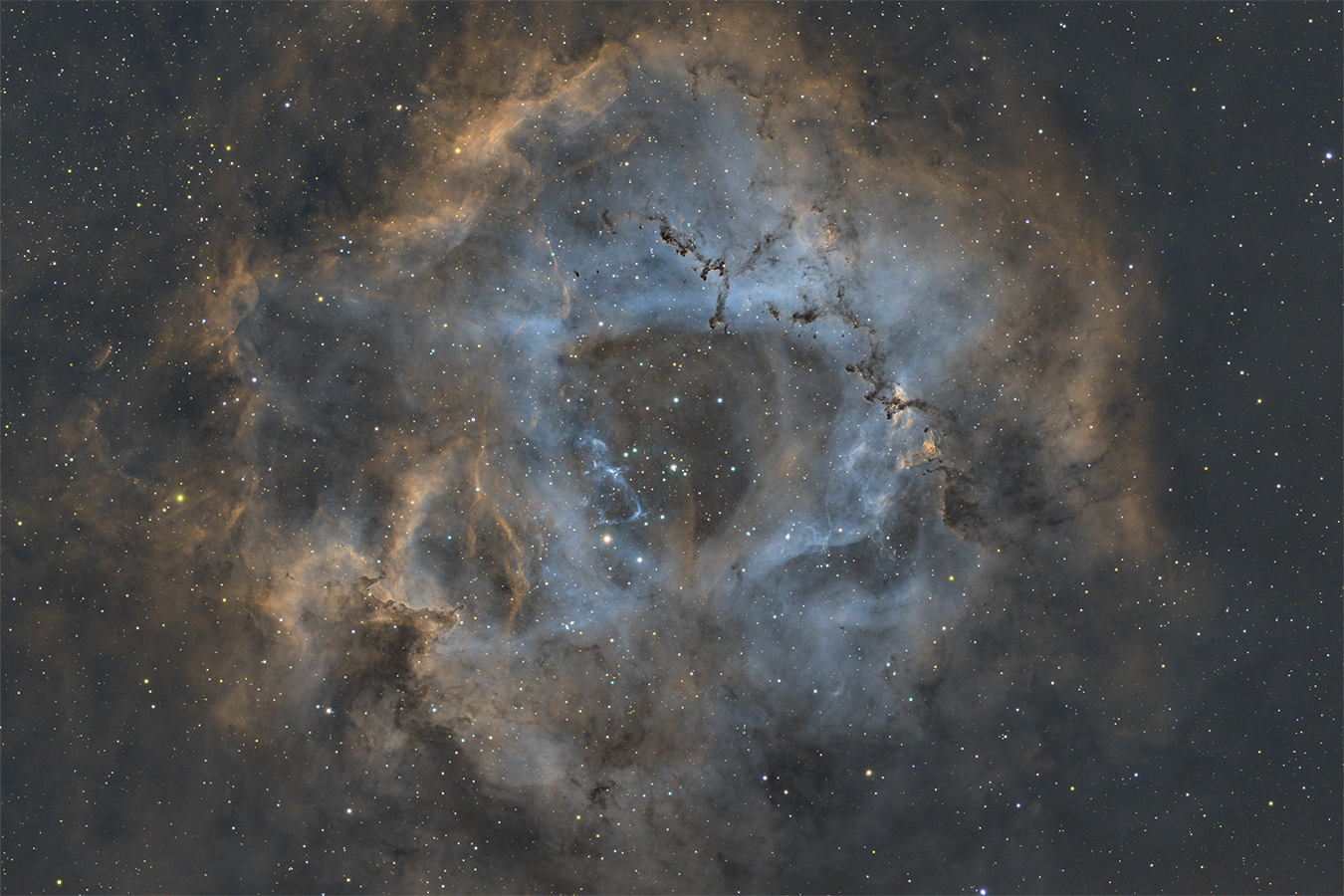 NGC 2237 - Rosette Nebula
